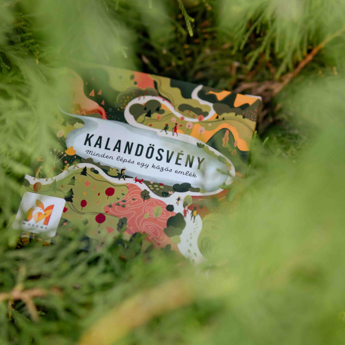 Kalandösvény családi túrakártya – játékos kirándulás gyerekekkel